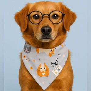 Cat/Dog Through Collar Reversible Pet Bandana